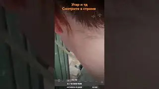 Отыграли 2 день вайпа | Смотрите стрим на канале | Dayz MIDNIGHT 