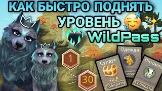 КАК БЫСТРО ПОДНЯТЬ УРОВЕНЬ WildPass в WildCraft🔥