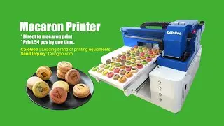 ColoGoo Custom Macaron Printing Machine Edible Prints Macaron Printer