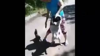 С такой кошкой ничего не страшно ))))