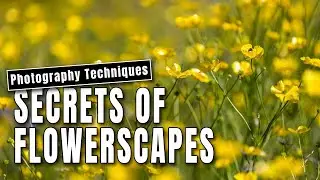 The secrets of photographing flowerscapes