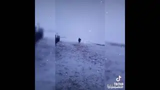 Ер қанаты ат❤🖤