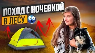 Треш поход с ночевкой В ЛЕСУ😳