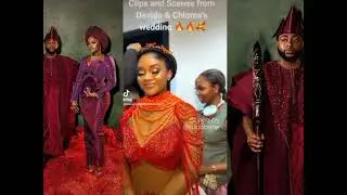 Clips & Scenes from Davido and Chioma's wedding #davido #chivido2024