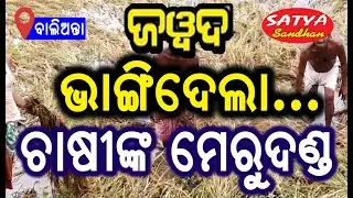 Balianta || Khorda || Jawad Handed Over Gifts Of Sorrows To Farmers For 2021 // SATYA SANDHAN