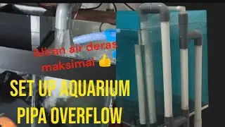 CARA SET UP AQUARIUM SUMP FILTER dengan PIPA OVERFLOW