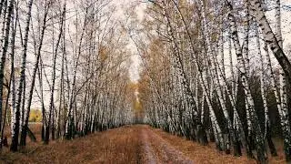 Осеннее