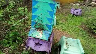 После дождя