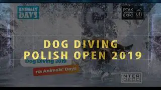 Mistrzostwa Polski Dog Diving 2019 Nadarzyn