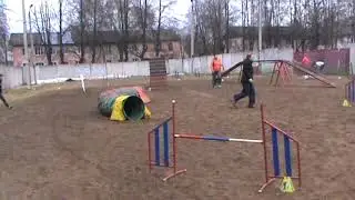чара
