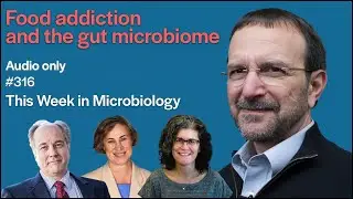 TWiM 316: Food addiction and the gut microbiome