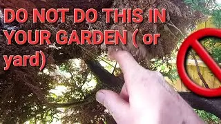 DO NOT DO THIS IN YOUR GARDEN OR YARD...