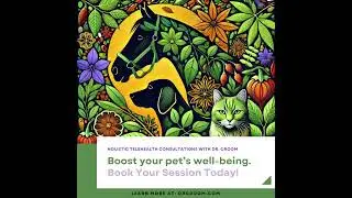 Holistic Pet Consultations