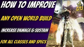How To Improve All Guild Wars 2 Open World Builds - Increase Your Damage & Sustain For All Classes