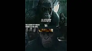 Caesar vs Akut 