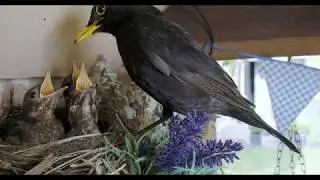 Olympus EM1 C4K Test Footage
