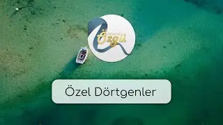 7. Sınıf Matematik - Özel Dörtgenler