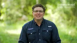 Brownswood Nursery - Landscape Design Consultation