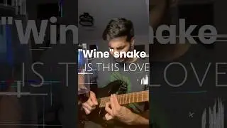 Whitesnake | Is This Love | #mesaboogie #charvel #fractalaudio #hardrock #guitarsolo #whitesnake