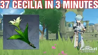WHERE TO FIND 37 CECILIA IN 3 MINUTES. GENSHIN IMPACT.