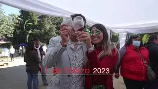 Spot Fiesta de la Vendimia Valle de San Antonio 2023