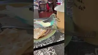 Lucky’s Moment