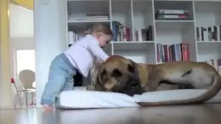 Köpekler ve bebişler