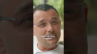 Bigoli di Mare (Seafood Fresh Pasta) con Andrea Accordi