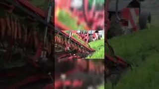 #работа