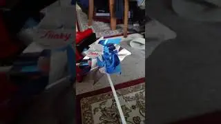 Pinwheel vs Lasko X Blower Fan