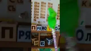 Подготовка к школе, Любознайки..