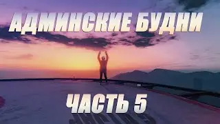 Админские будни #5 Genesis RP AltV