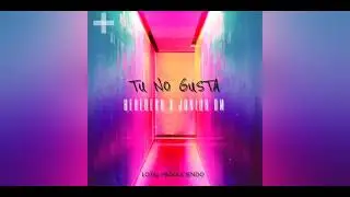 Tu no gusta - heredero ❌ junior DM (Prod. loctal  produciendo)