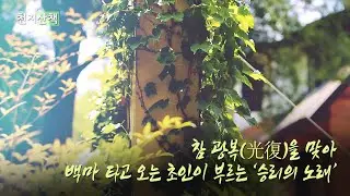 [천지산책] 참 광복(光復)을 맞아 백마 타고 오는 초인이 부르는 ‘승리의 노래’