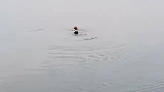 Утренние процедуры
