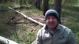 Видео Блог  В ЛЕСУ