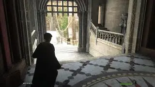 Hogwarts Legacy Graphic bugs on PS5