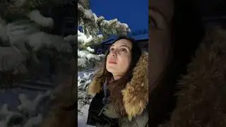 Новая Голландия зимой