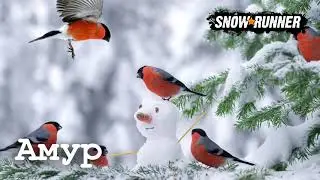 Музыка из игры Snowrunner (Амур)