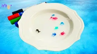 Kids craft and activity - Floating sea creatures using sharpies