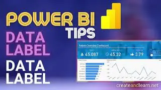 Learn how to work with Data Label in Power BI