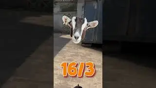 ВЫЙГРАЛ КВАРТИРУ В КС 🤪 #games #coop #funny #cs2 #csgo #skullfatt #game