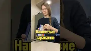 Дезинсекторы подкинули в дом тараканов 🪳 