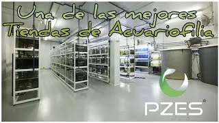 MEJOR TIENDA ACUARIOFILIA MADRID | Pzes