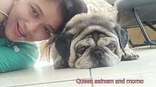 REBAHAN BERSAMA DOGGY MOMO GENDUT