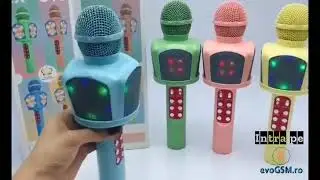 Microfon Karaoke NYTRO - evoGSM.ro