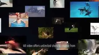 Panasonic UK - 4K Video into 4K Photos