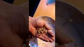 завтрак, рыба с гречкой и курицой