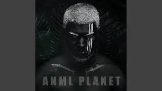 Anml Planet