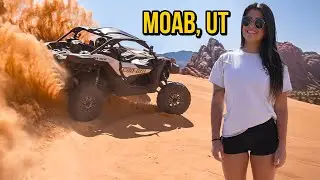 This Was A Crazy Trip...